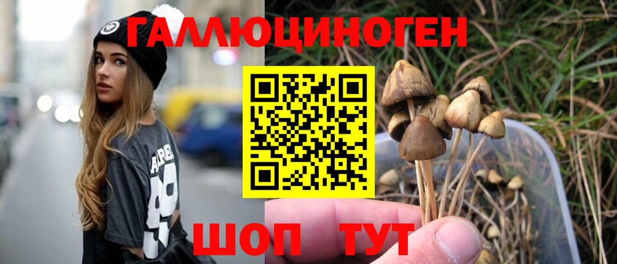 Псилоцибиновые грибы Psilocybine cubensis Бахчисарай