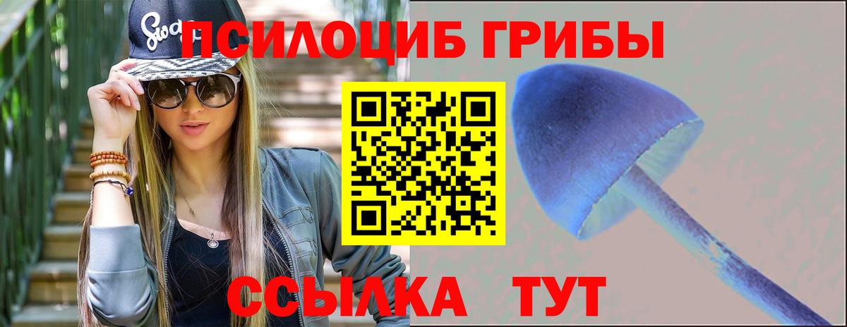 Псилоцибиновые грибы MAGIC MUSHROOMS  Вход с VPN  как найти   Бахчисарай 